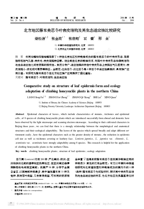 北方地区藤本类忍冬叶表皮结构及其生态适应性比较研究