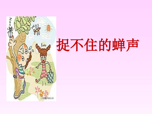 湘教版 五年级下册语文《捉不住的蝉声》(共14张PPT)