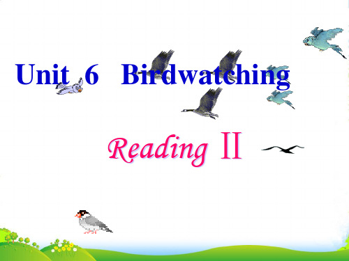 牛津译林八年级英语上册《Unit6 Bird watching》(Reading 2)课件