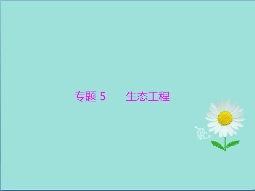 高考生物大一轮精讲复习课件选修3 专题5 生态工程