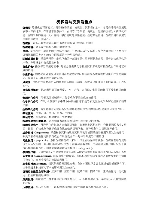 沉积岩 与 变质岩考试重点