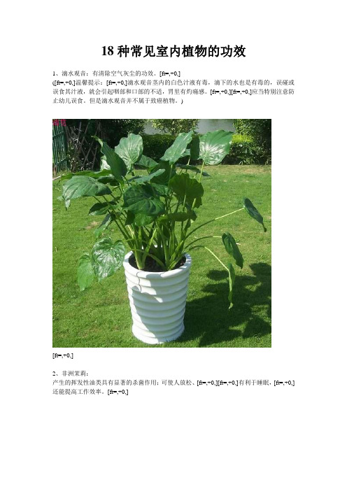 18种常见室内植物的功效