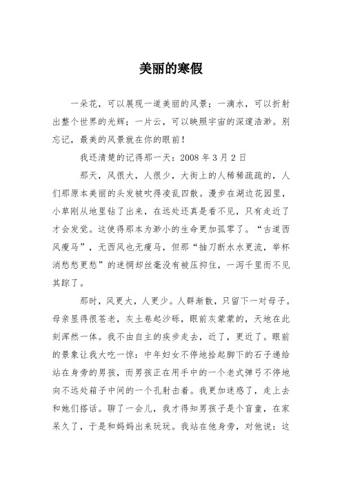 初中记事作文：美丽的寒假