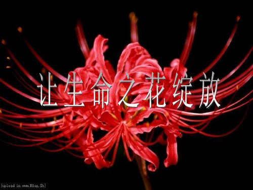 思想品德：第三课之《让生命之花绽放》课件(人教版七年级上)