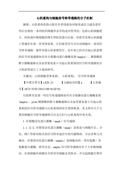 心肌重构与细胞信号转导通路的分子机制