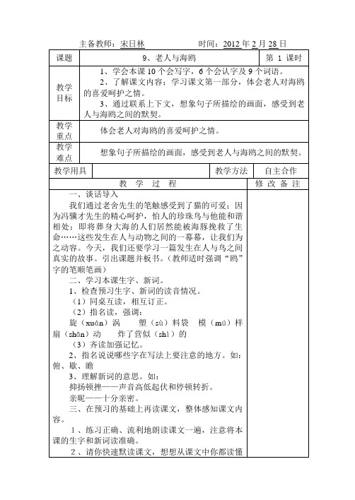 9、老人与海鸥 1