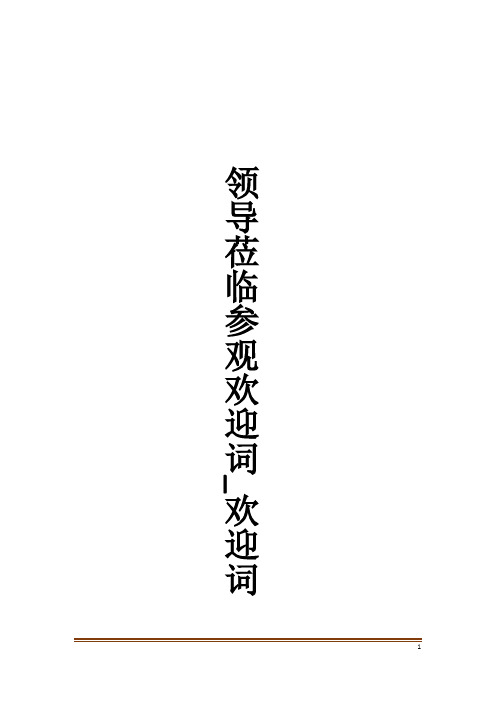 领导莅临参观欢迎词_欢迎词