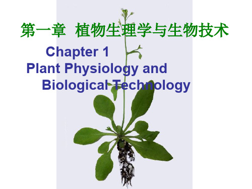 植物生理 第一章 植物生理学与生物技术