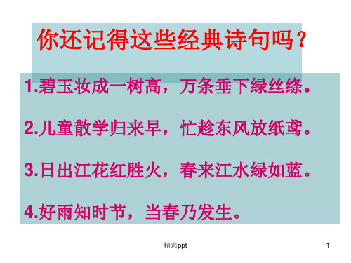 小古文春日寻芳