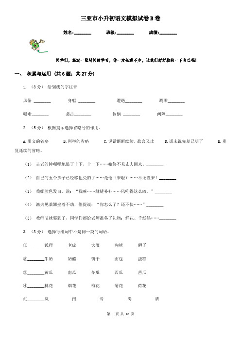 三亚市小升初语文模拟试卷B卷