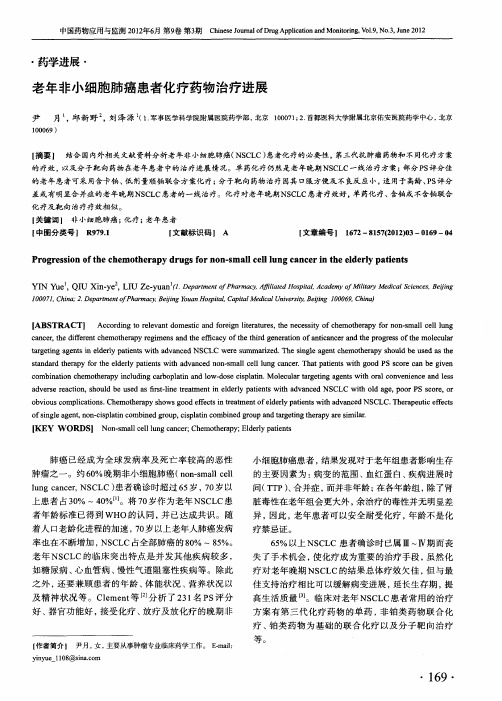 老年非小细胞肺癌患者化疗药物治疗进展
