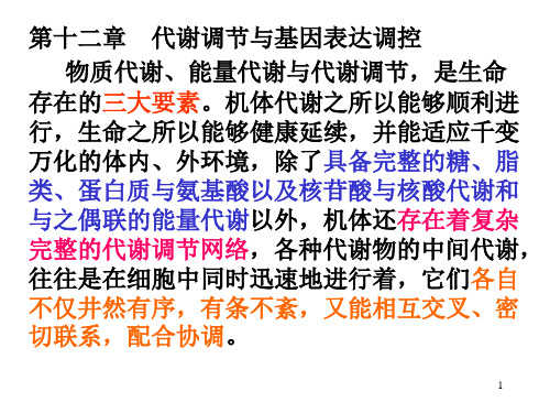 高中生物竞赛代谢调节与基因表达调控课件