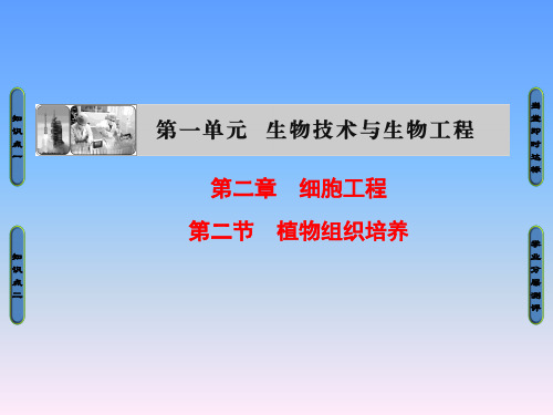 2018年中图版高中生物选修三1.2.2《植物组织培养》ppt课件全面版