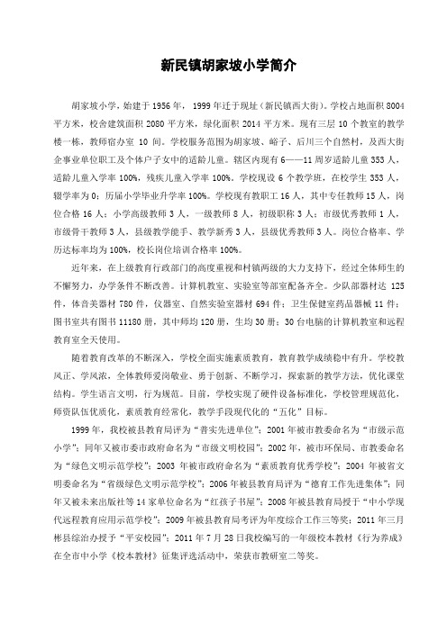 新民镇胡家坡小学简介