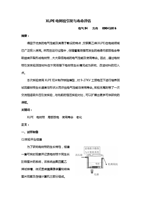 XLPE电树枝引发实验