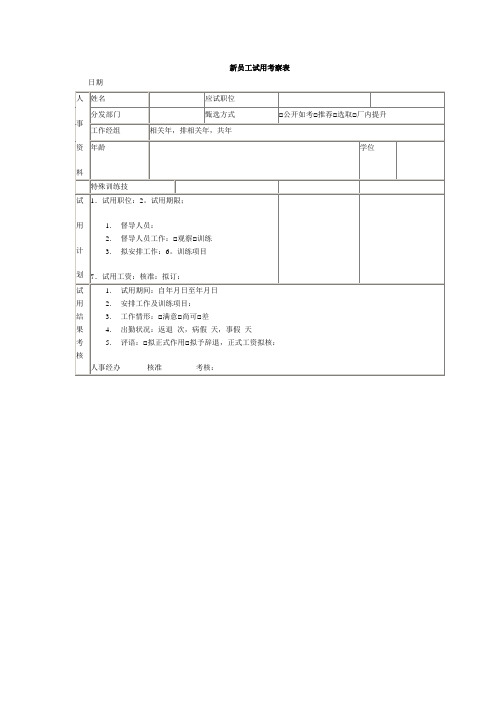 新员工试用考察表