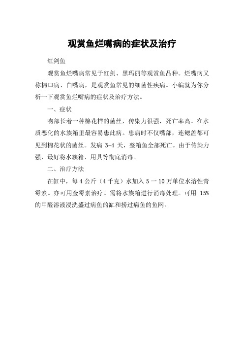 观赏鱼烂嘴病的症状及治疗
