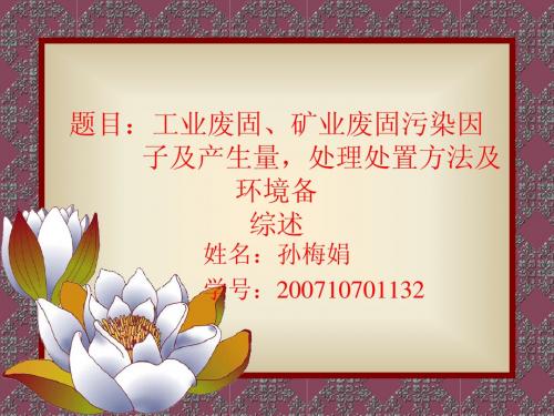工业固废,矿业固废