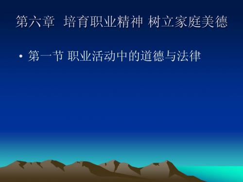 第六章  培育职业精神 树立家庭美德
