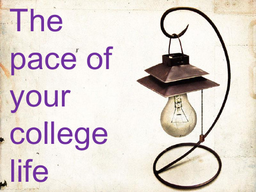 The_pace_of_the-college-life