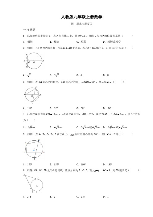 人教版九年级上册数学  圆  期末专题复习