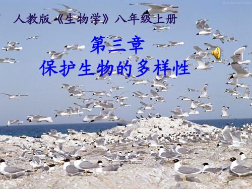 第六单元第三章保护生物的多样性