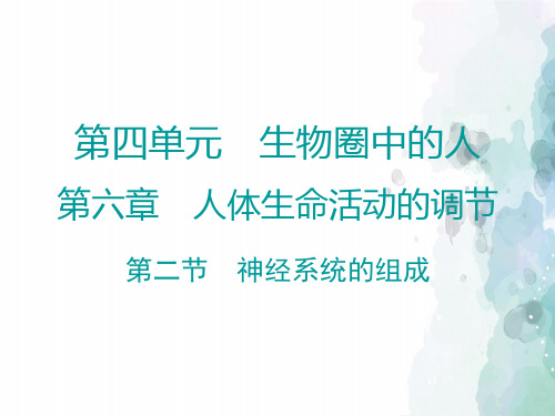 北京课改版-生物-七年级下册-8.1 神经系统的组成 参考课件