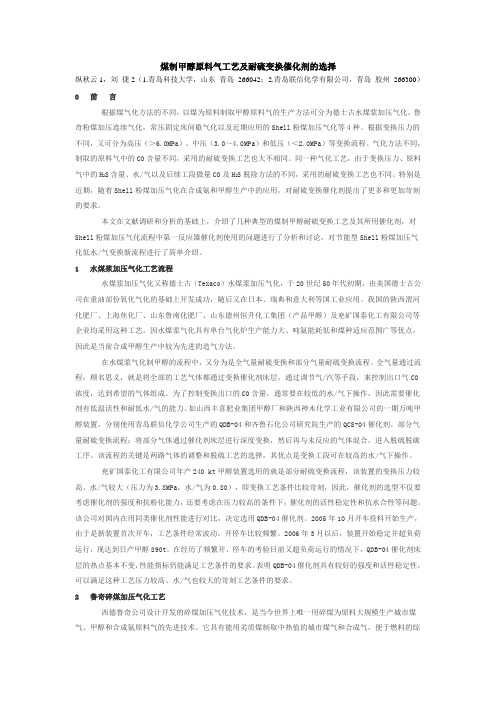 煤制甲醇原料气工艺及耐硫变换催化剂的选择