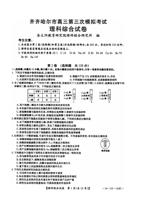 齐齐哈尔市高三第三次模拟考试理综试题及答案