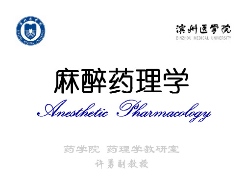 血浆容量扩充药