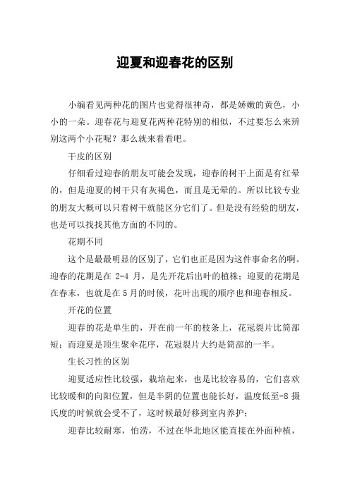 迎夏和迎春花的区别