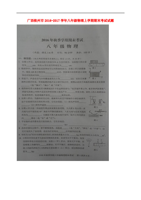 广西钦州市八年级物理上学期期末考试试题(扫描版) 新人教版