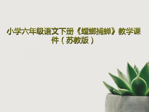 小学六年级语文下册《螳螂捕蝉》教学课件(苏教版)25页PPT