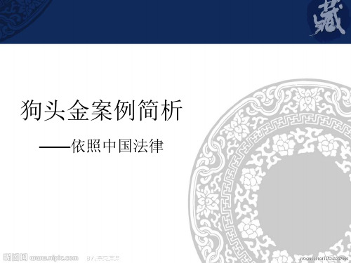 狗头金案例简析