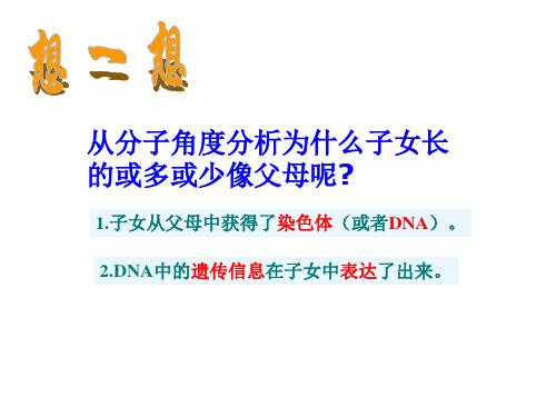 高中生物人教版必修二第4章：《基因的表达》