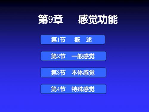 生理学-感觉功能