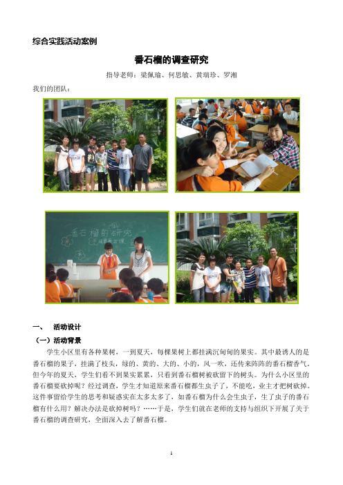 综合实践活动案例——番石榴的调查研究