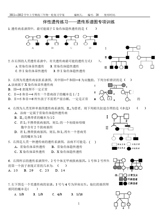 【免费下载】20 伴性遗传练习遗传系谱图专项训练