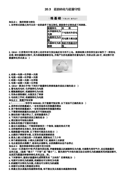 九年级物理下册20.3能的转化与能量守恒练习新版粤教沪版242-