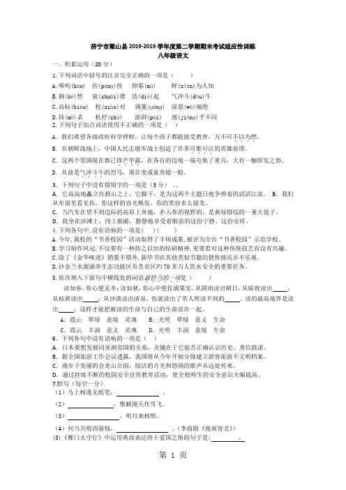 山东省济宁市梁山县2017-2018学年度第二学期八年级语文期末考试适应性训练(无答案)-word