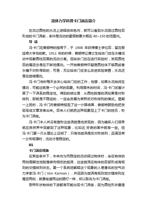 流体力学科普卡门涡街简介
