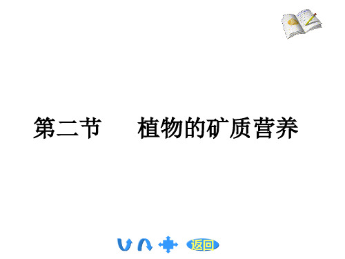 植物的土壤营养-矿质营养-高中生物奥赛辅导