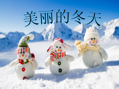 道德与法治(部编版)《美丽的冬天》全文课件1