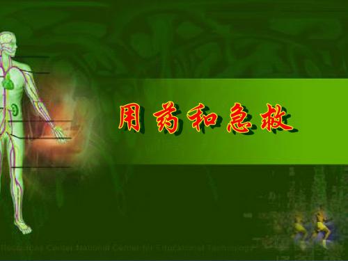 人教版生物八年下 8.2用药与急救课件 (共30张PPT)