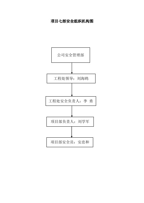 hs-2安全组织机构图及安全职责.doc