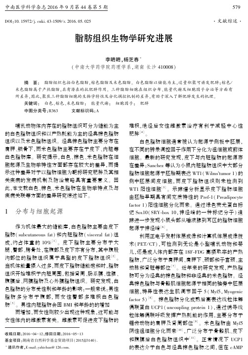 脂肪组织生物学研究进展