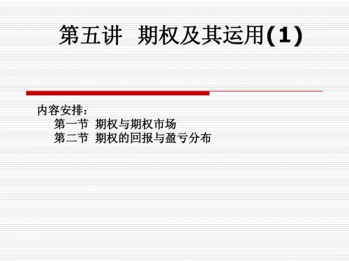 第五讲 期权及其运用(1)