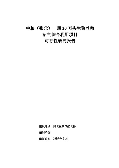 万头生猪养殖沼气综合利用项目可行性研究报告(DOC 58页)