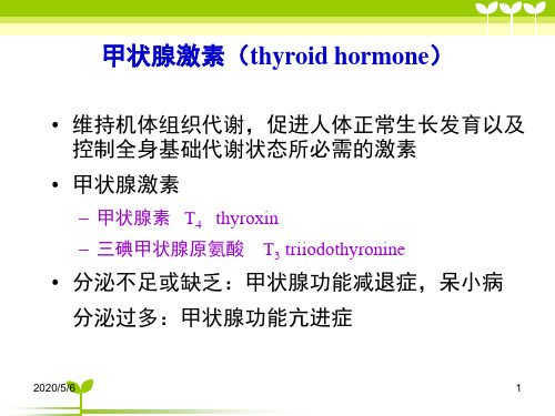 甲状腺激素(thyroidhormone)PPT课件