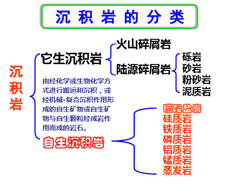 沉积岩-05-06讲自生沉积岩一般特征共50页